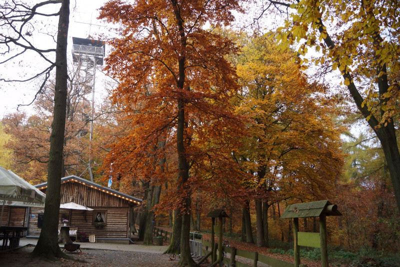 Kapellenberg