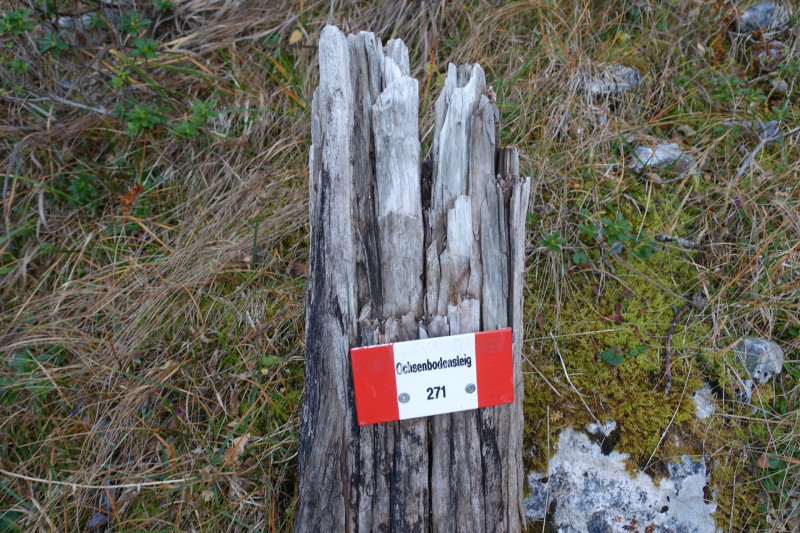 Karwendelgrube - Dammkarhtte - Viererspitze - Ochsenbodensteig - Karwendelbahn