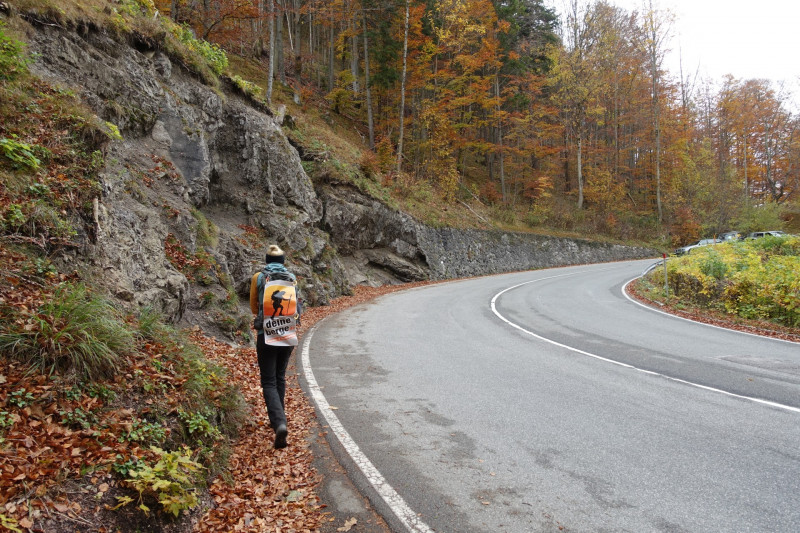 Kesselbachfälle - Jochberg - Jocher-Alm - Kesselberg - Kesselbachfälle