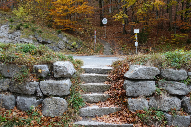 Kesselbachfälle - Jochberg - Jocher-Alm - Kesselberg - Kesselbachfälle