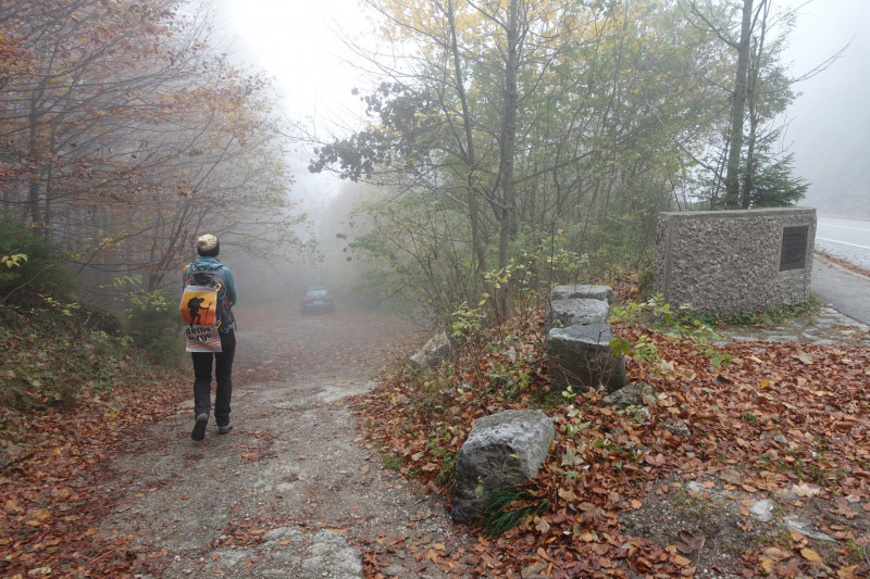 Kesselbachfälle - Jochberg - Jocher-Alm - Kesselberg - Kesselbachfälle