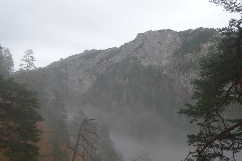 Kesselbachfälle - Jochberg - Jocher-Alm - Kesselberg - Kesselbachfälle