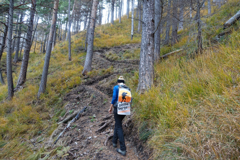 Kesselbachfälle - Jochberg - Jocher-Alm - Kesselberg - Kesselbachfälle