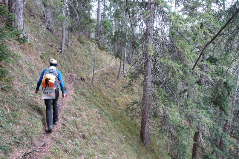 Kesselbachfälle - Jochberg - Jocher-Alm - Kesselberg - Kesselbachfälle