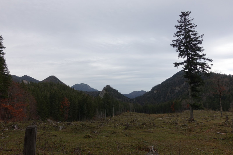 Kesselbachfälle - Jochberg - Jocher-Alm - Kesselberg - Kesselbachfälle