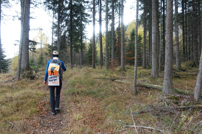 Kesselbachfälle - Jochberg - Jocher-Alm - Kesselberg - Kesselbachfälle