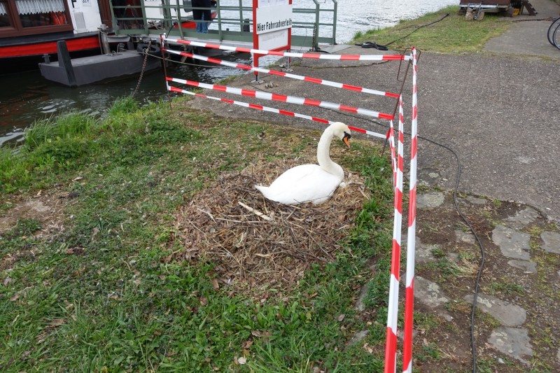 Kl�sserath - Schweich