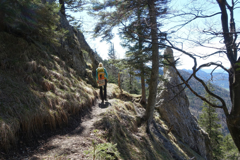 Kochel - Bergelskopf - Kochel
