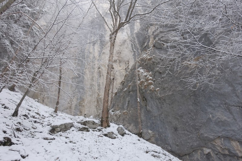 Kofel - Kolbenalm