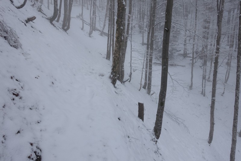 Kofel - Kolbenalm