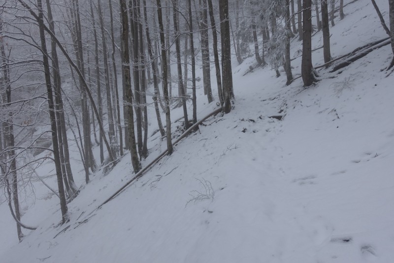 Kofel - Kolbenalm