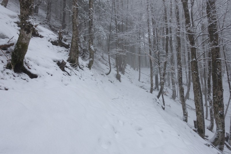 Kofel - Kolbenalm