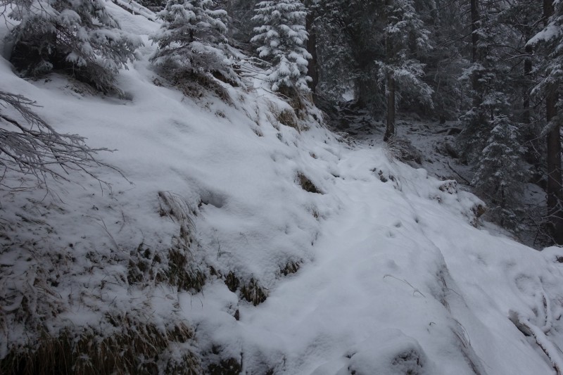 Kofel - Kolbenalm