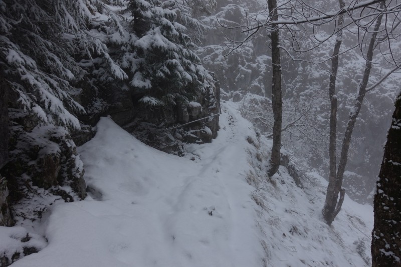 Kofel - Kolbenalm