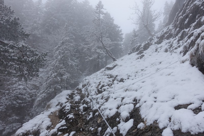 Kofel - Kolbenalm