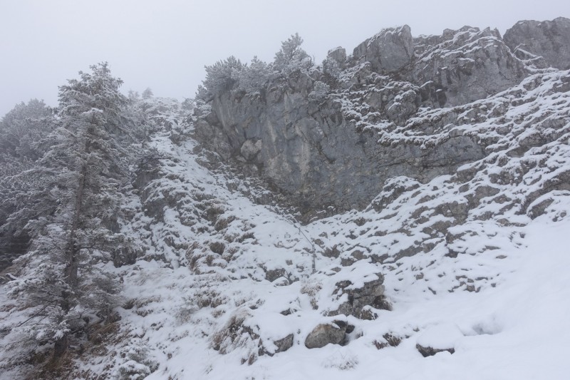 Kofel - Kolbenalm