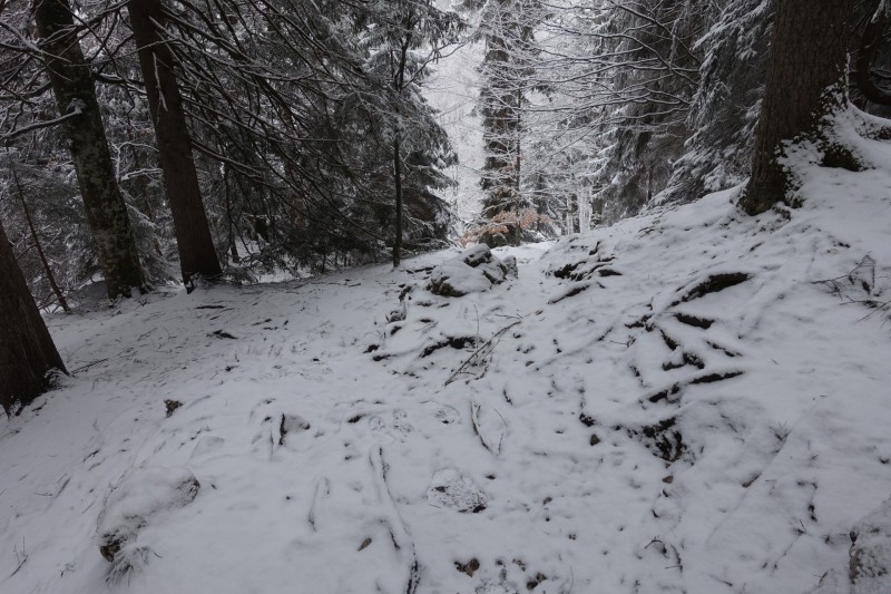 Kofel - Kolbenalm