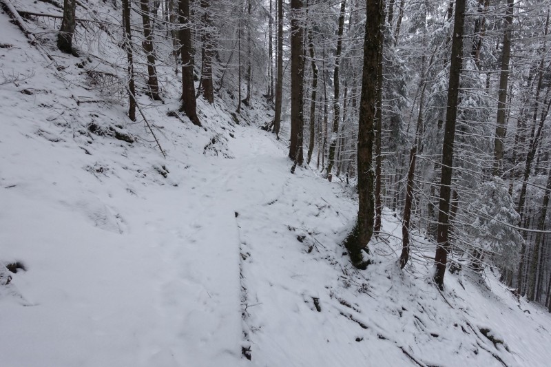 Kofel - Kolbenalm