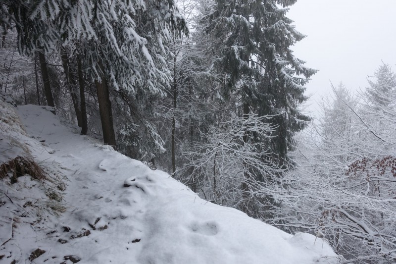 Kofel - Kolbenalm