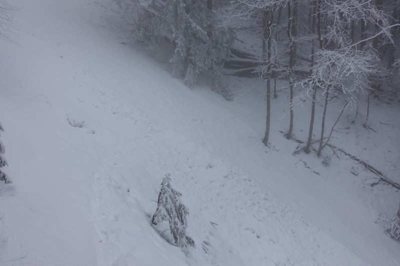 Kofel - Kolbenalm
