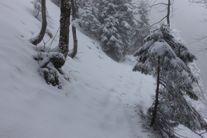 Kofel - Kolbenalm