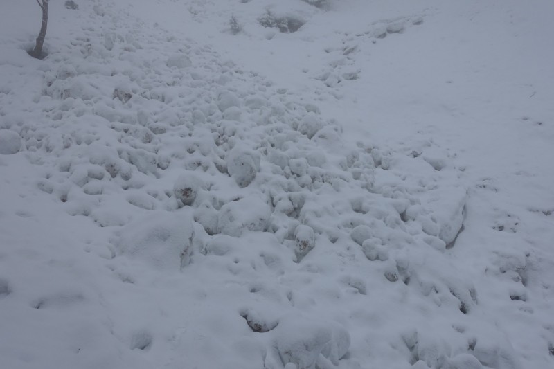 Kofel - Kolbenalm
