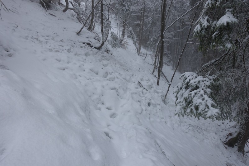 Kofel - Kolbenalm