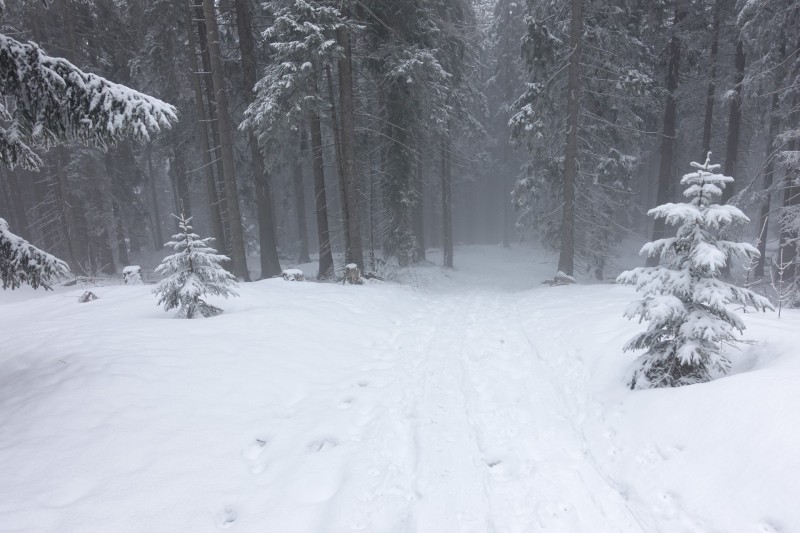 Kofel - Kolbenalm
