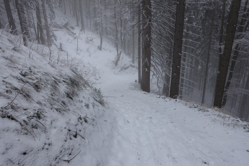 Kofel - Kolbenalm