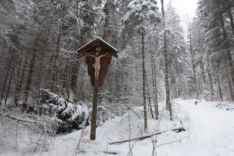 Kofel - Kolbenalm