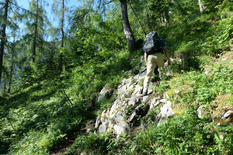 Khroint - Kleiner Watzmann - Mooslahnerkopf - Khroint - Falzsteig - Watzmannhaus