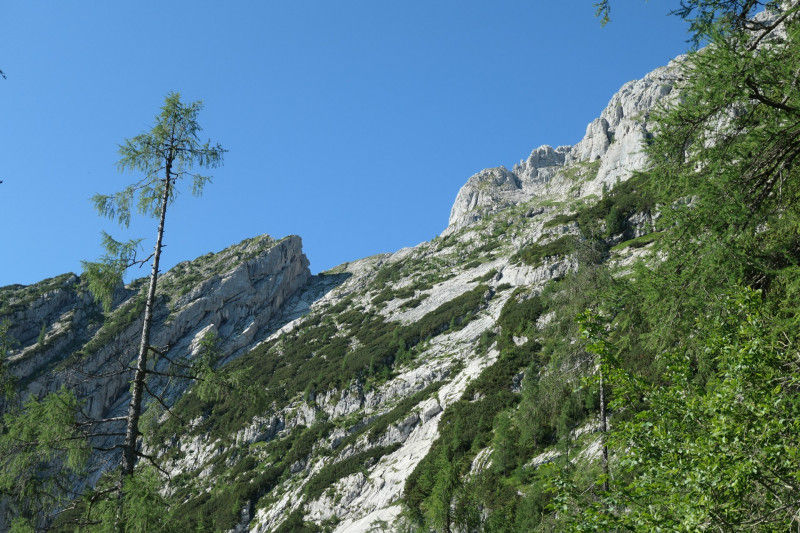 Khroint - Kleiner Watzmann - Mooslahnerkopf - Khroint - Falzsteig - Watzmannhaus