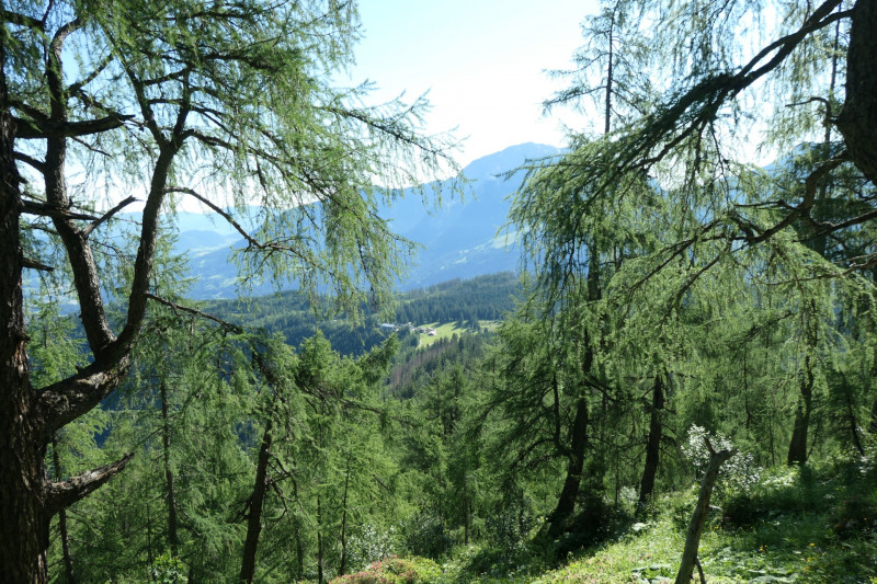 Khroint - Kleiner Watzmann - Mooslahnerkopf - Khroint - Falzsteig - Watzmannhaus