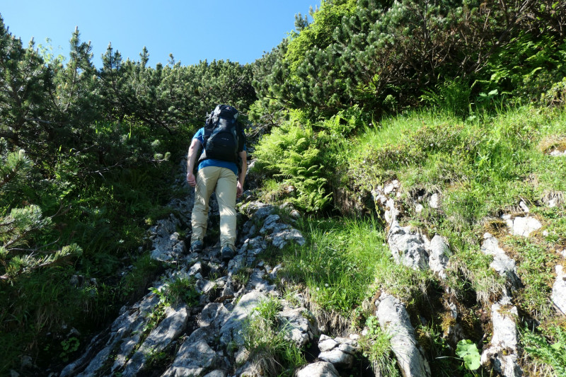 Khroint - Kleiner Watzmann - Mooslahnerkopf - Khroint - Falzsteig - Watzmannhaus
