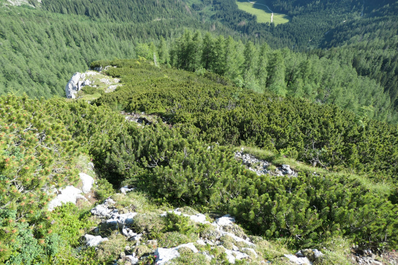 Khroint - Kleiner Watzmann - Mooslahnerkopf - Khroint - Falzsteig - Watzmannhaus