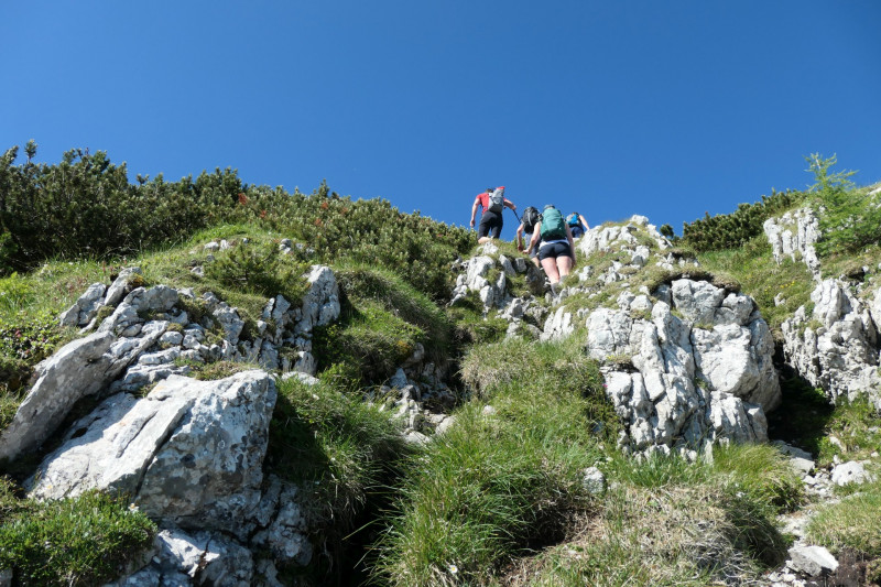 Khroint - Kleiner Watzmann - Mooslahnerkopf - Khroint - Falzsteig - Watzmannhaus