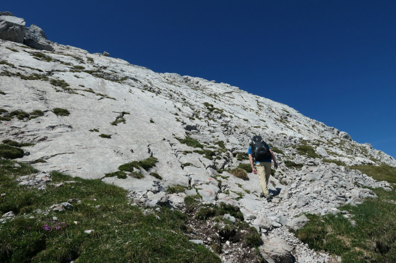 Khroint - Kleiner Watzmann - Mooslahnerkopf - Khroint - Falzsteig - Watzmannhaus