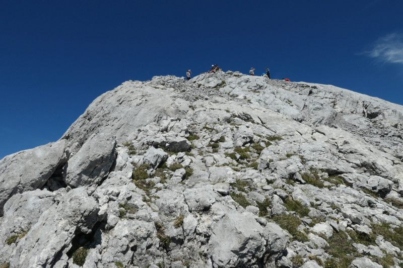 Khroint - Kleiner Watzmann - Mooslahnerkopf - Khroint - Falzsteig - Watzmannhaus