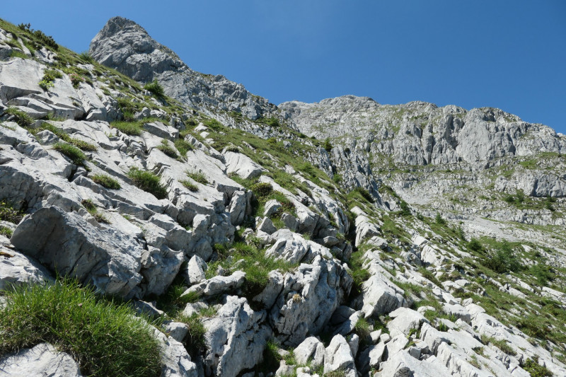 Khroint - Kleiner Watzmann - Mooslahnerkopf - Khroint - Falzsteig - Watzmannhaus