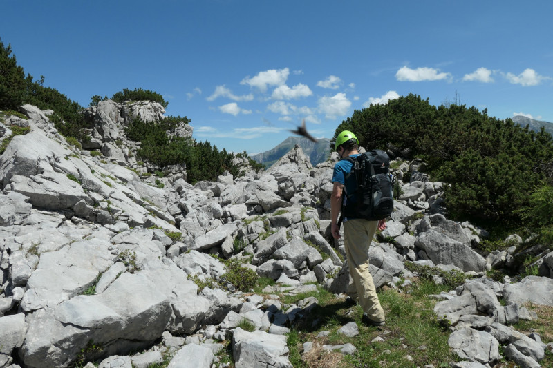 Khroint - Kleiner Watzmann - Mooslahnerkopf - Khroint - Falzsteig - Watzmannhaus