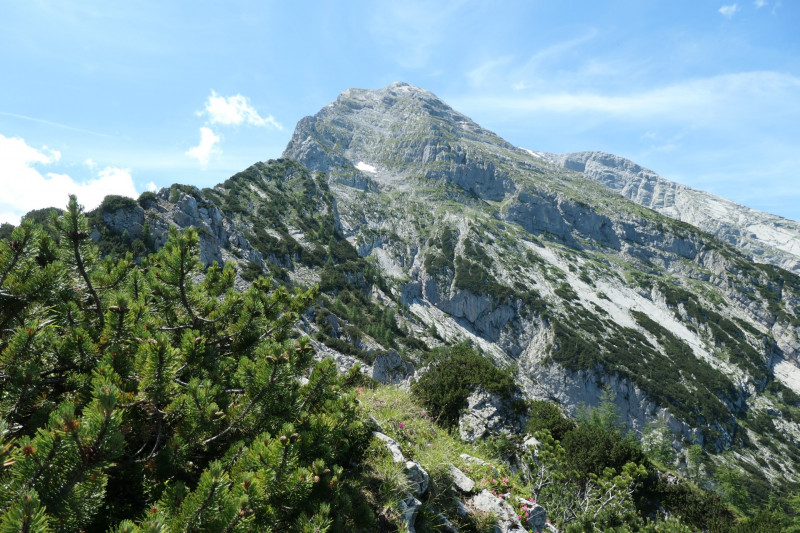 Khroint - Kleiner Watzmann - Mooslahnerkopf - Khroint - Falzsteig - Watzmannhaus