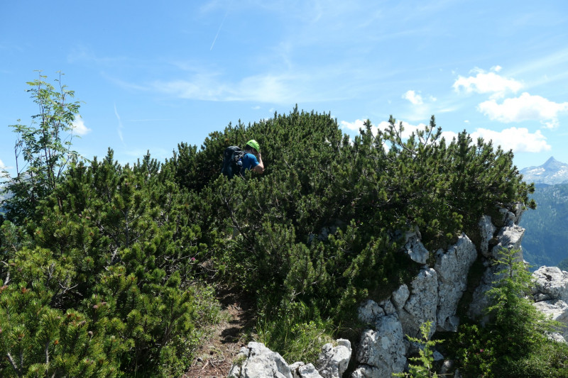 Khroint - Kleiner Watzmann - Mooslahnerkopf - Khroint - Falzsteig - Watzmannhaus