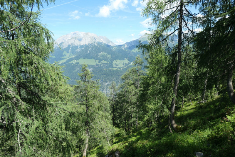 Khroint - Kleiner Watzmann - Mooslahnerkopf - Khroint - Falzsteig - Watzmannhaus