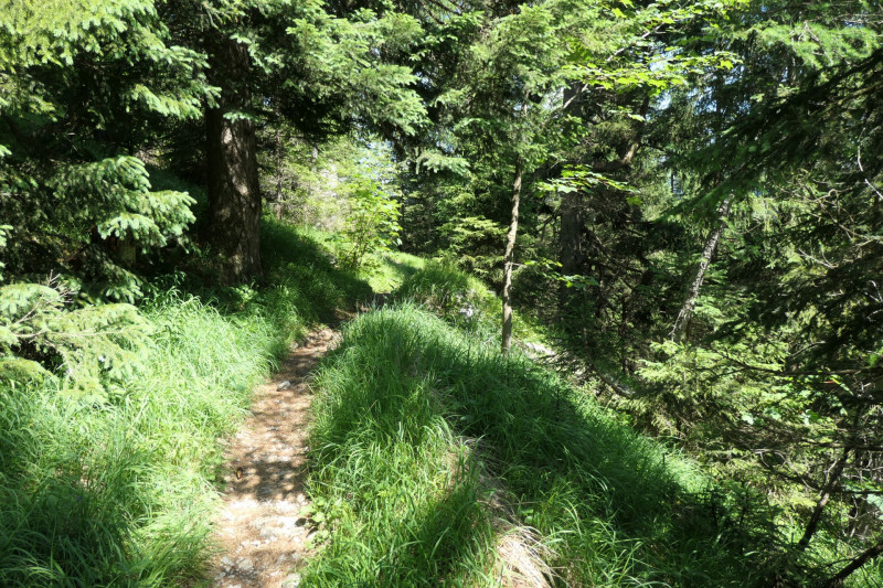 Khroint - Kleiner Watzmann - Mooslahnerkopf - Khroint - Falzsteig - Watzmannhaus