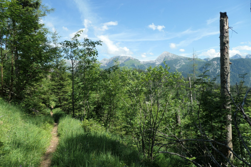 Khroint - Kleiner Watzmann - Mooslahnerkopf - Khroint - Falzsteig - Watzmannhaus