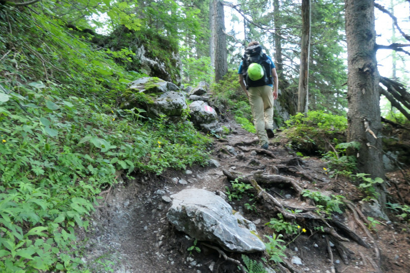 Khroint - Kleiner Watzmann - Mooslahnerkopf - Khroint - Falzsteig - Watzmannhaus