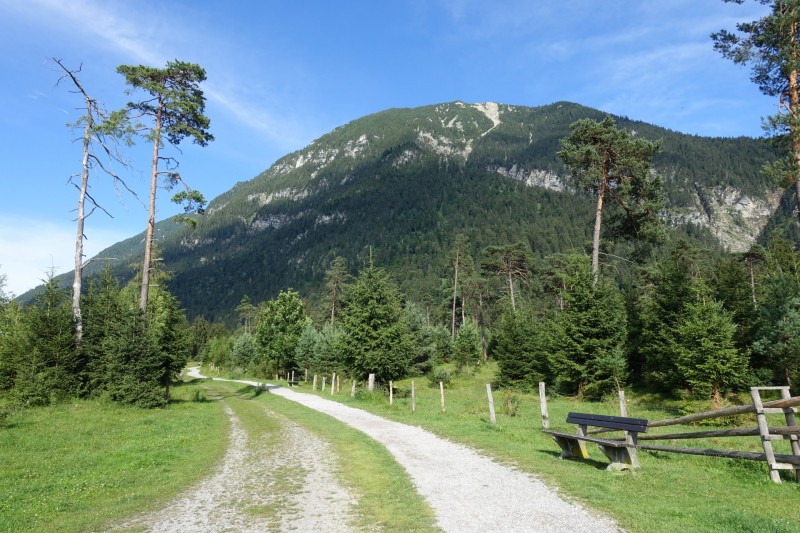 Kuhflucht