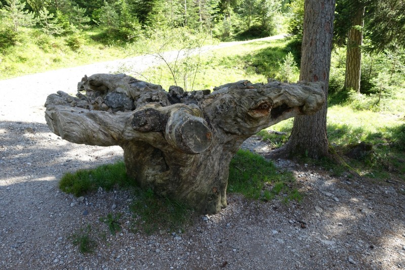 Kuhflucht