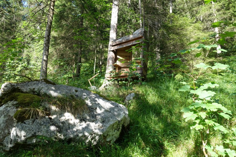 Kuhflucht