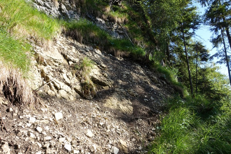 Kuhflucht